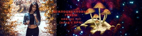 молекула духа Киренск
