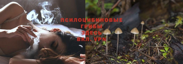 молекула духа Киренск