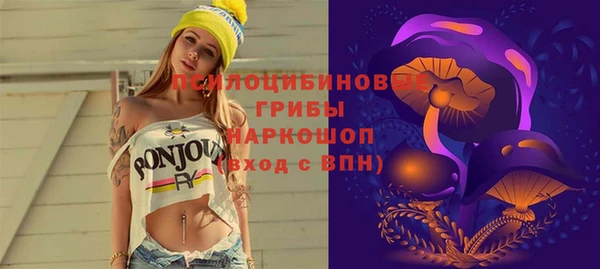 мет Кинешма